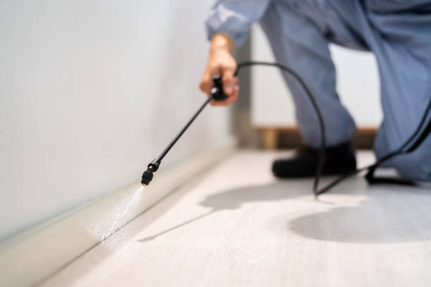 Licensed Mosquito Control service in Clover, SC - Show Me Pest Control