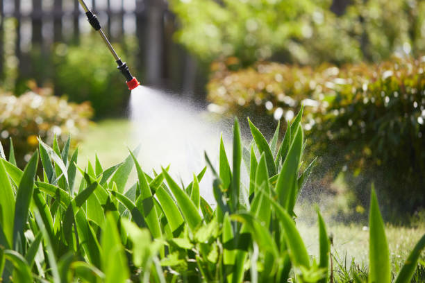 24/7 Emergency Mosquito Control experts in Clover, SC