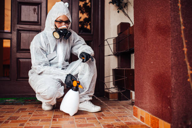Reliable Mosquito Control contractor in Clover, SC by Show Me Pest Control