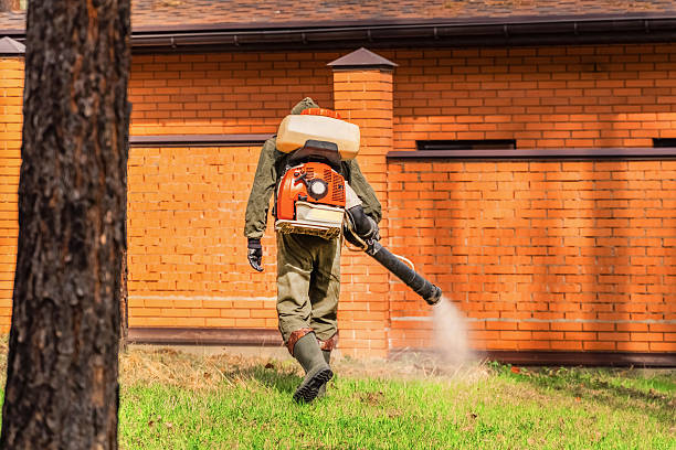 Top rated local Mosquito Control specialists in Clover, SC